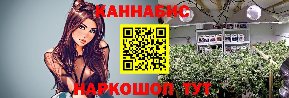 Шишки марихуана конопля Волоколамск